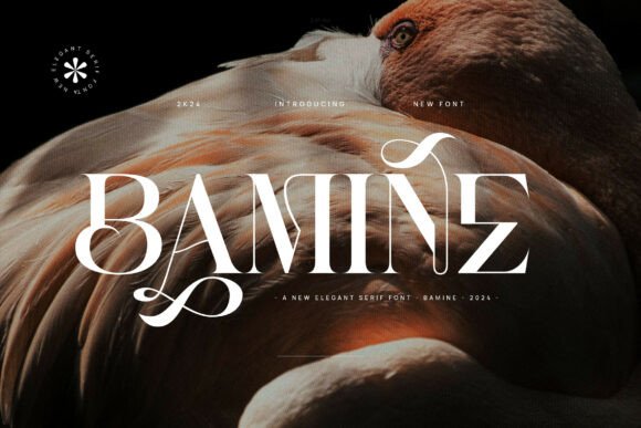 Bamine: A Serif That Speaks With Quiet Authority