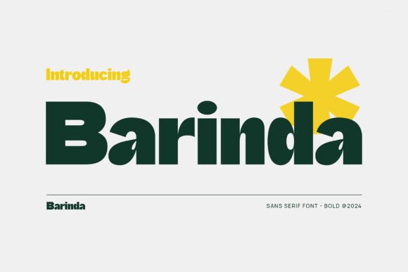 Barinda: A Modern Sans Serif Font for Polished Digital Branding