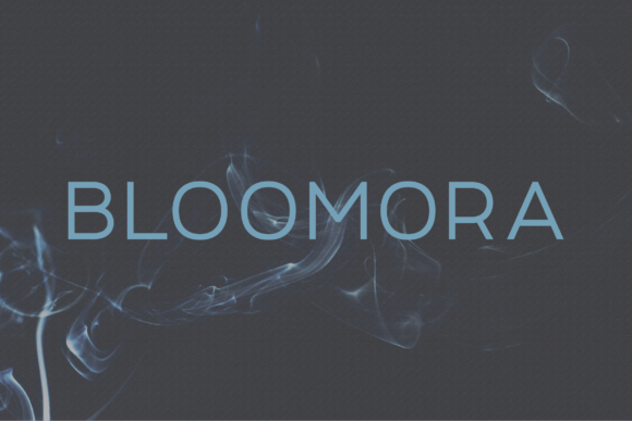 Bloomora: A Classy Sans Serif Font for Handmade Creators