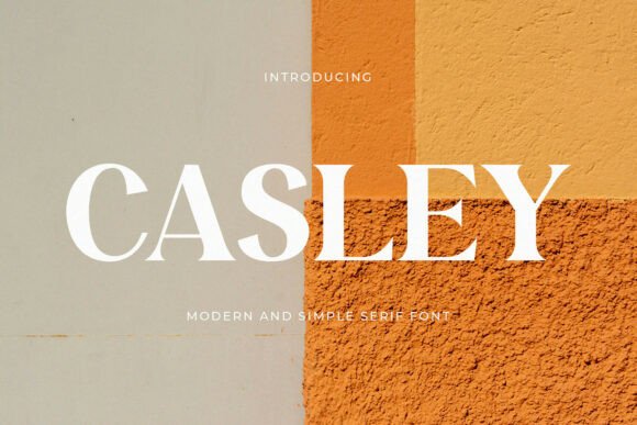 Casley: A Modern Serif Font That Makes Your Brand Look Thoughtful