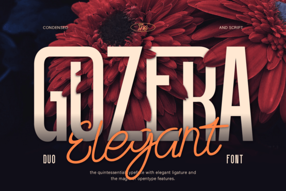 Gozera: A Font Duo That Makes Your Campaigns Instantly Clear