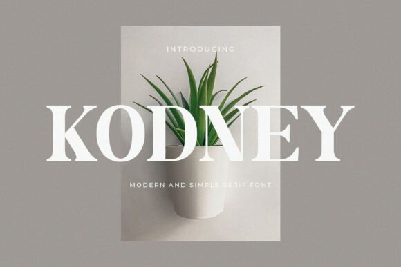 Kodney: A Modern Serif Font That Elevates Handmade Design