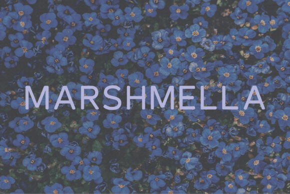 Marshmella: A Classy Sans Serif Typeface for Handmade Creators
