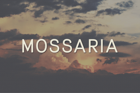 Mossaria: A Modern Sans Serif Typeface for Digital Branding