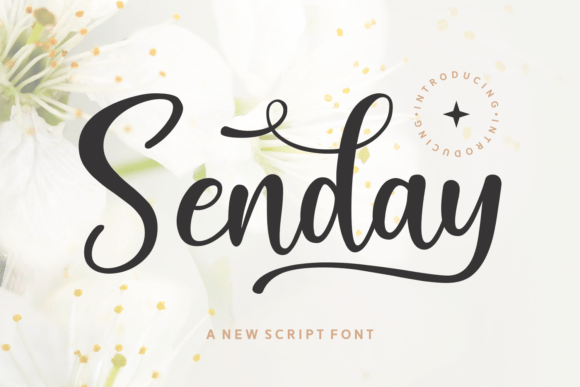 Senday: A Cheerful Modern Script Font for Digital Brands