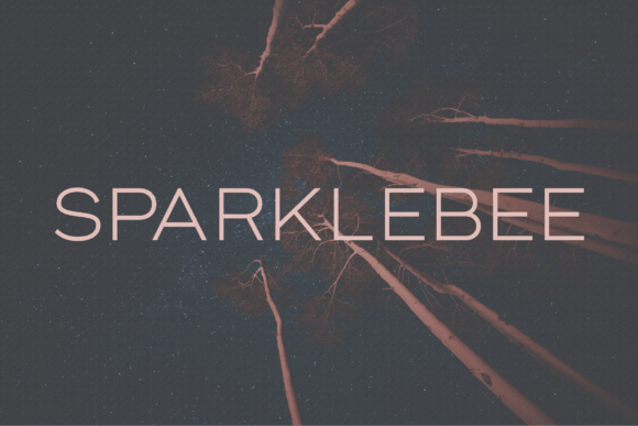 Sparklebee: A Designer’s Real-World Take
