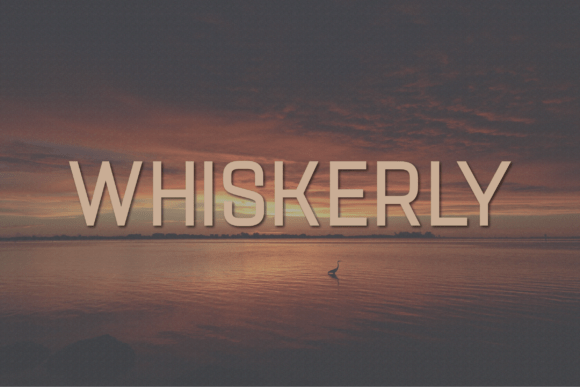 Whiskerly: A Modern Sans Serif Font That Just Works in Campaigns