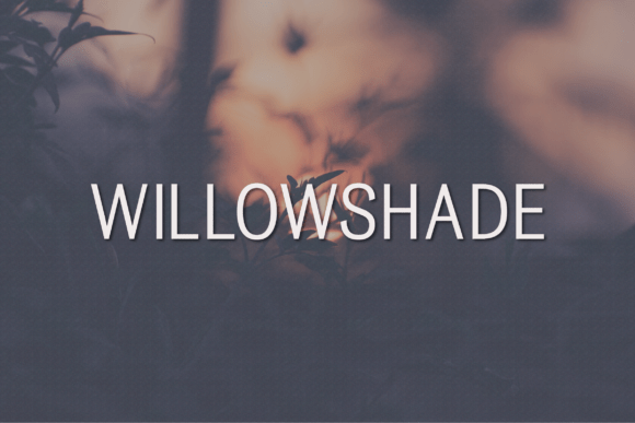 Willowshade: A Modern Sans Serif Typeface for Digital Branding