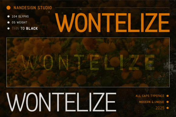 Wontelize: A Bold, Clear Sans Serif Typeface for Editorial Confidence